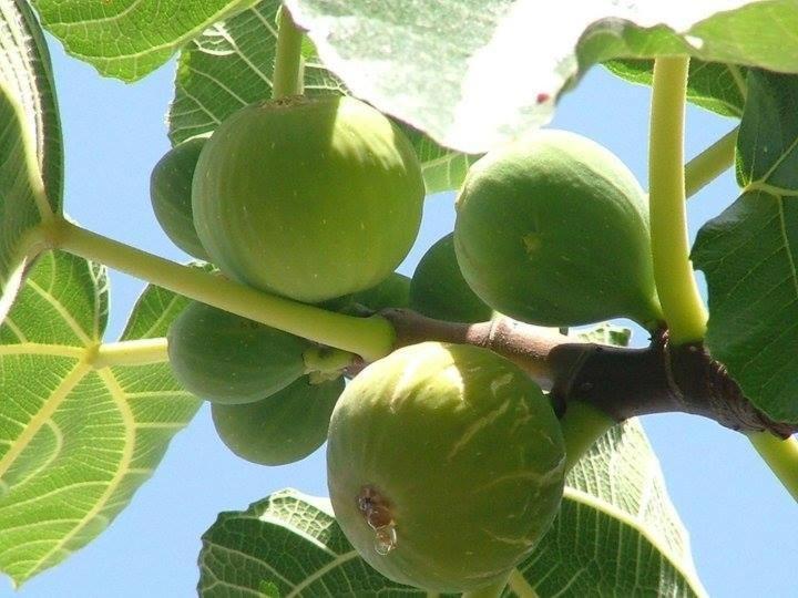 Cicirata Sea Beach - Sicilia Vacanza Avola Ngoại thất bức ảnh